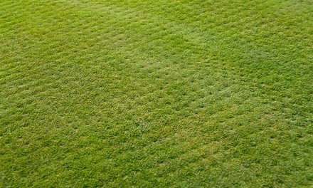 Up to 51% Off on Lawn Aeration Service at Infascapes Property Management LLC