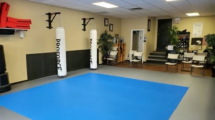 Up to 89% Off on Martial Arts Training for Kids at The BMA Dojo