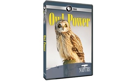 NATURE: Owl Power DVD