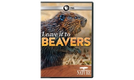 NATURE: Leave it to Beavers DVD