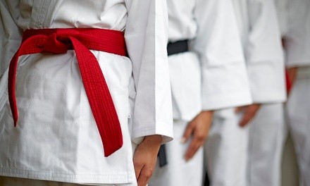 Up to 87% Off at Cobrinha BJJ Santa Monica