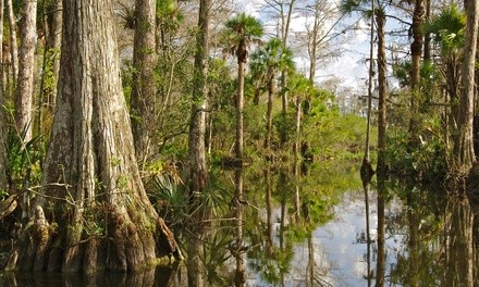 Everglades Adventure Tour for One or Two from Xcursions USA (35% Off)