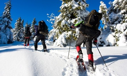 Up to 50% Off on Snowshoeing Tour at Tahoe Outdoor Adventures