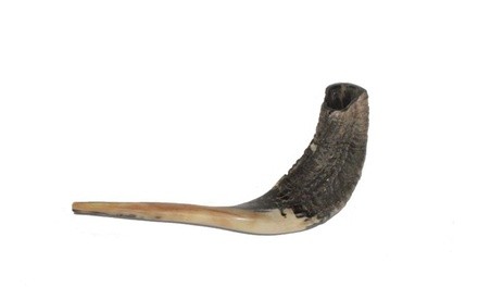 Shofar Kosher Ram's Horn Made In ISRAEL 12