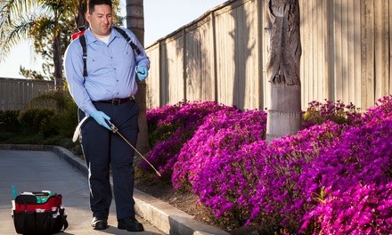 Perimeter Pest-Control Services for Up to 2500 or 3500 Sq. Ft from Nature Is My Office (Up to 42% Off)