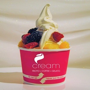 $10 For $20 Worth Of Frozen Yogurt, Ice Cream & More