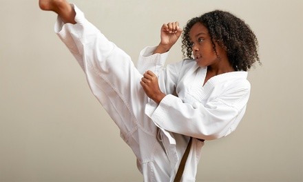 Up to 85% Off on Martial Arts Training for Kids at American Martial Arts ATA Gators Academy