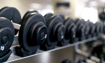 Up to 36% Off on Personal Trainer at Results Performance Training LLC