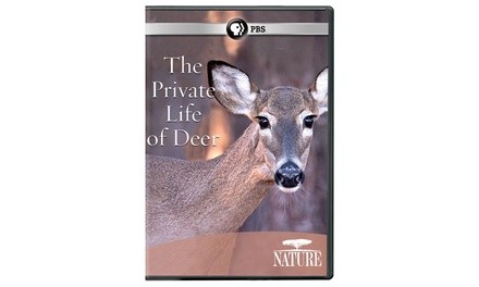 NATURE: The Private Life of Deer DVD