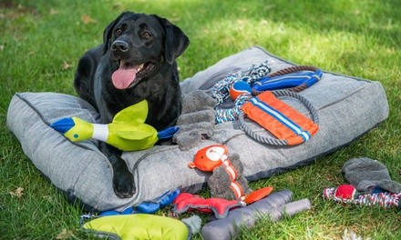 Up to 24% Off on Pet Care - Discount Card at AdventurePets LLC Boise