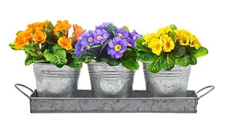 Sorbus Tin Planter Pots and Tray Caddy (4-Piece)