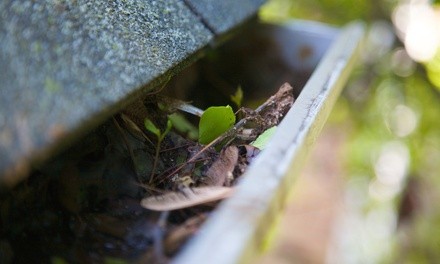 Up to 49% Off on Gutter Cleaning at Polk Washers