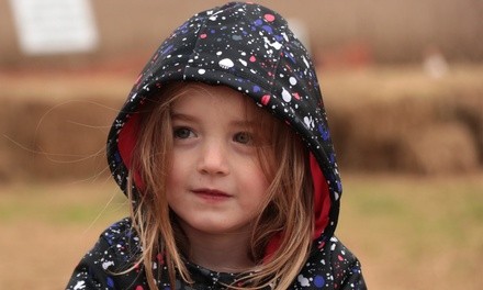 Up to 55% Off on Seasonal Photography at Time Out Photo and Video LLC