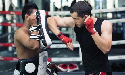 Up to 55% Off on In Spa Gym / Fitness Center at Combat Concepts Academy