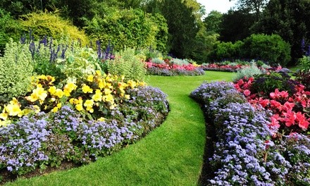 Up to 50% Off on Landscaping - Fertilization Service at Harry's Lawn Services and more