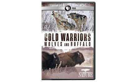 NATURE: Cold Warriors: Wolves and Buffalo DVD