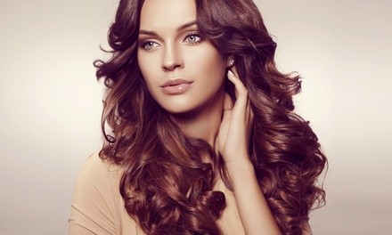 Up to 56% Off on Salon - Hair Color / Highlights at Janetz Hairapy at Salon Lofts