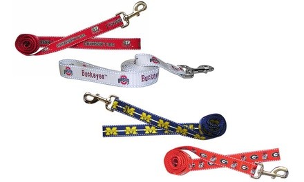 Fabrique NCAA Reflective Nylon Leash