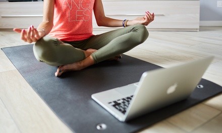 Up to 49% Off on Online Meditation Session at Elevate Vibrance