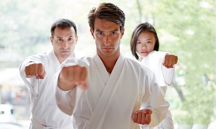 Up to 75% Off on Martial Arts Training for Kids at Ohana Martial Arts