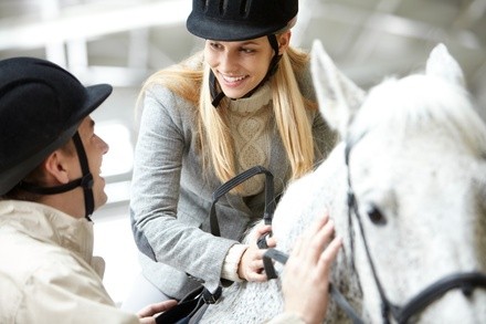 Up to 16% Off on Horse Back Riding - Recreational at Rising Star Equestrian PA