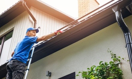 Up to 49% Off on Gutter Cleaning at The Pristine Pros (Pressure Washing, & Roof Cleaning)