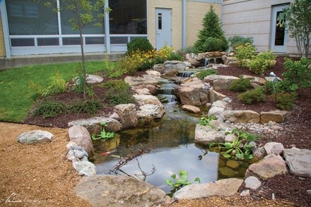 $50 For $100 Toward Pond Products