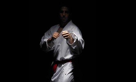 Martial Arts History Museum Visit for Two or Four, or One Individual Membership (Up to 65% Off)