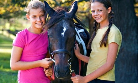 Up to 53% Off on Horse Back Riding - Recreational at TA.Equestrian Academy