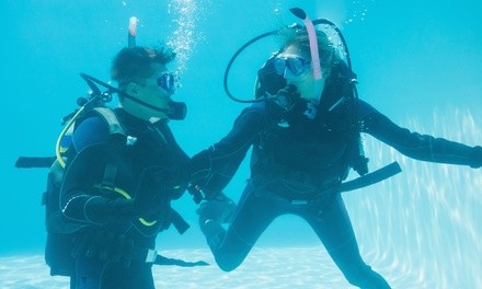 Up to 41% Off on SCUBA Certification at Narcosis Scuba Center