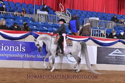 Up to 20% Off on Horse Back Riding - Recreational at Hall Show Horses