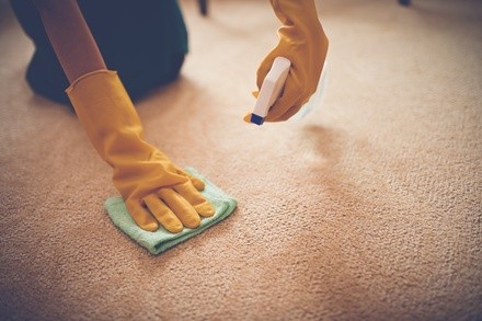 Up to 40% Off on Oven Cleaning at Royal Pro Cleaners