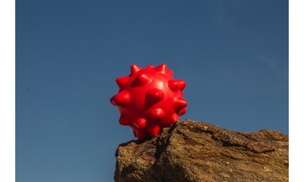 Spikey Red Dog Toy and Teether By Chompstick