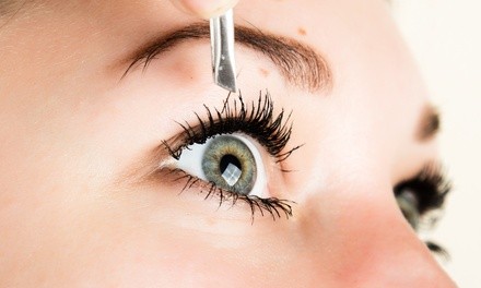 Up to 28% Off on Eyelash Extensions at WinkedBySea