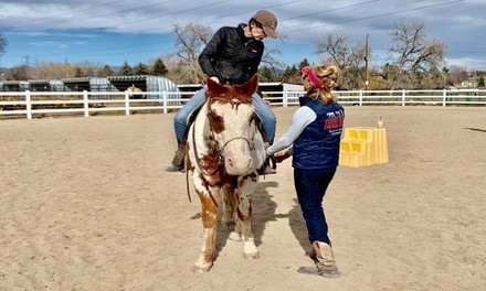 45- or 90-Minute Horseback Riding Lessons at Loco Caballo (Up to 30% Off). 9 Options Available.