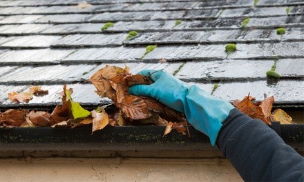 Up to 50% Off on Gutter Cleaning at Ozark Home Service