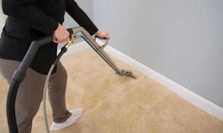 Up to 10% Off on Green / Eco Carpet Cleaning at Dailey Pro Services