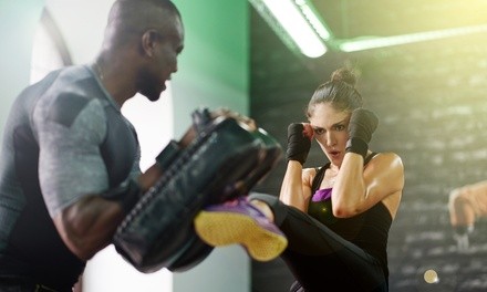 Unlimited Kickboxing Classes for One or Three Months at Peninsula Self Defense (Up to 50% Off)