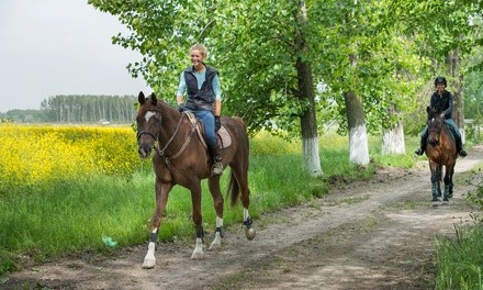 One or Six 60-Minute Horseback-Riding Lessons for One or Two at Ascend Camp & Retreat Center (Up to 42% Off)