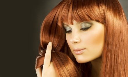 Haircut and Options for All-Over Color or Partial Highlights at All About Hair by Lori Karl (Up to 55% Off)  