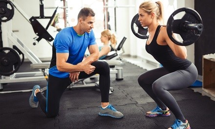 7, 12, 15, or 20 Individual 40-Minute Personal-Training Sessions at Dan's Iron Works (Up to 59% Off)