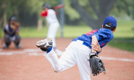 12-Week Baseball, Softball, or T-Ball Winter Clinic for One Child at Lost Boyz (Up to 33% Off)