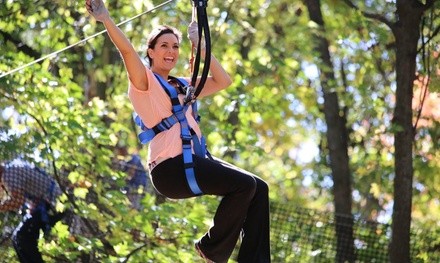 All-Day Adventure Pass for One, Two, Four, or Six at The Adventure Park at Long Island (Up to 43% Off)