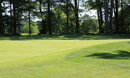 18-Hole Round of Golf for 1, 2, or 4 at Whitefish Lake Golf Club (Up to 23% Off). 3 Options.