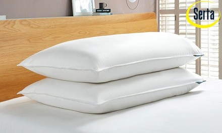 Serta Back-Sleeper White Goose Feather and Down Fiber Pillows (2-Pack)