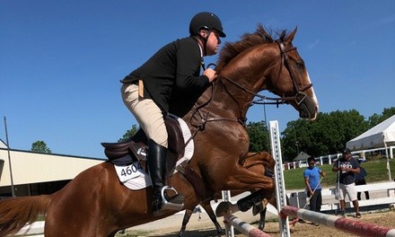 Two or Three Horseback Riding Lessons at Legacy River Equestrian Center (Up to 52% Off)