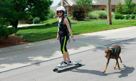 One or Three Dog Evaluations and 30-Minute Jogging Sessions from Buddy Boarding (Up to 63% Off)