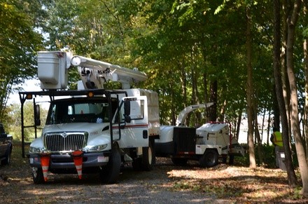 Up to 50% Off on Tree Removal at Hoffman Expert Tree Services