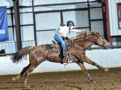 Up to 49% Off on Horse Back Riding - Recreational at MoonPalace Ranch