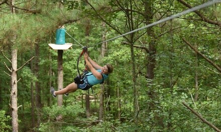 Four-Hour Aerial Treetop Adventure and Ziplining at Cape Fearless Extreme Through March 31 (Up to 19% Off)